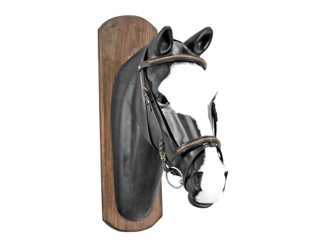 English leather bridle Derby