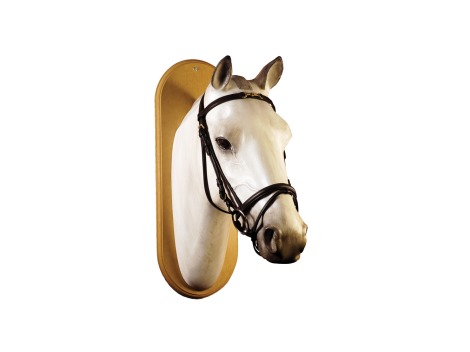 English leather bridle with eggbutt snaffle bit decoration on the browband