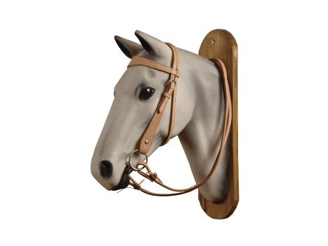 Poolʼs Western leather bridle
