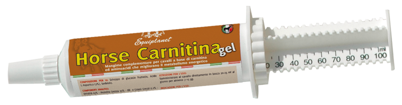 Carnitina Gel - booster for horses based on Carnitine