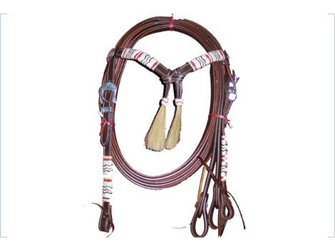 Western leather bridle with white and silver decorations and horse hair