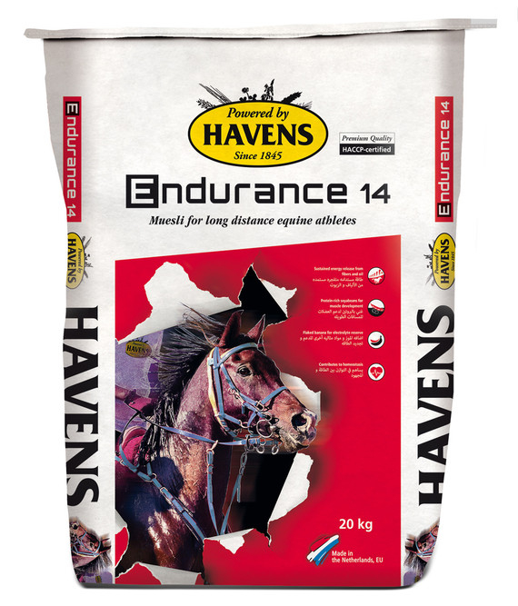 Endurance 14 by Havens for long distance equine athletes