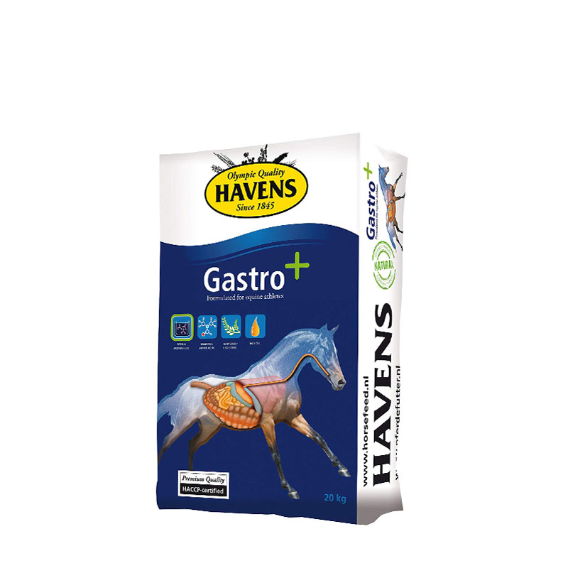 Gastro+ by Havens for an optimal digestion
