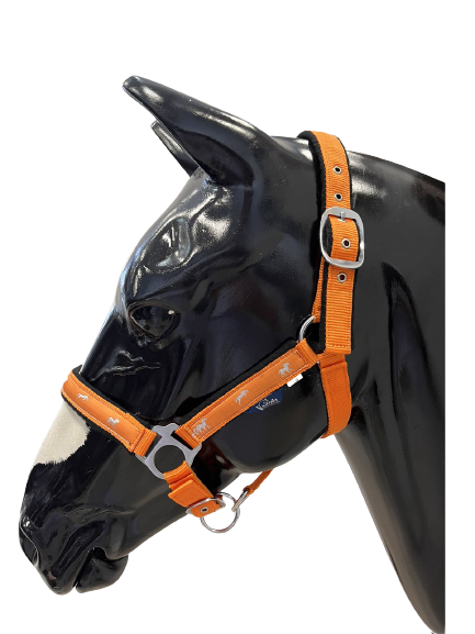 Horse halter with horsey decorations without side snap