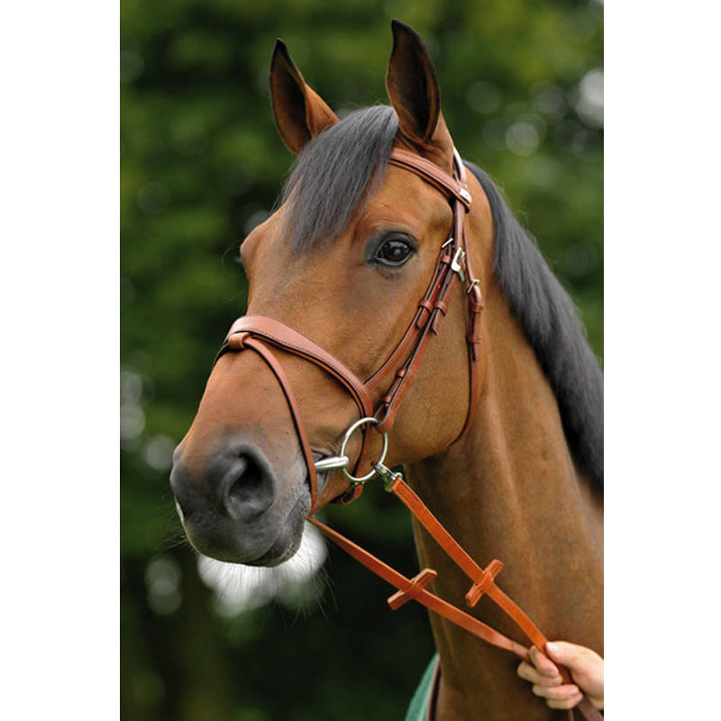 English leather bridle Stübben professional