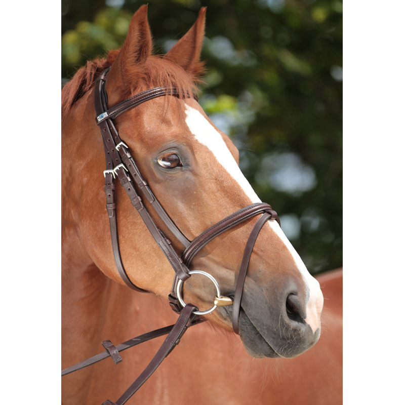 Stubben Bridle 2300