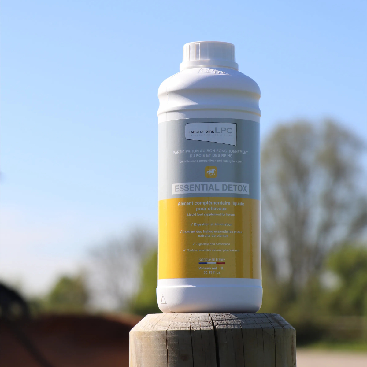 Essential Detox