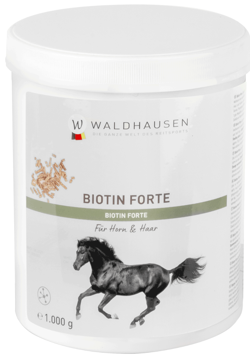 BIOTIN FORTE 2000mg