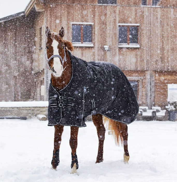 Waterproof rug