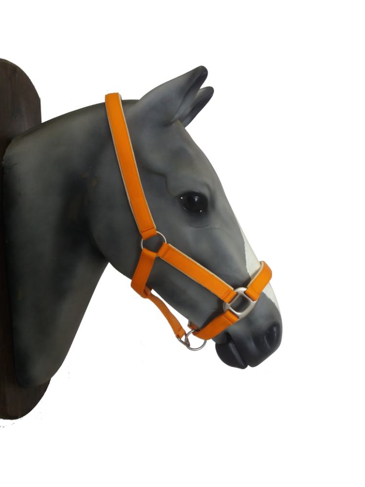 Horse Halter