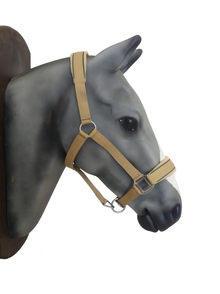 Horse Halter