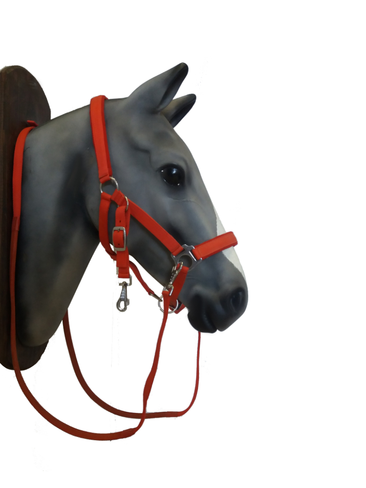 Bridle- Halter with reins