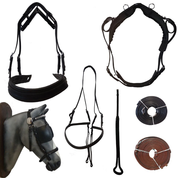 Carriage Harness Single