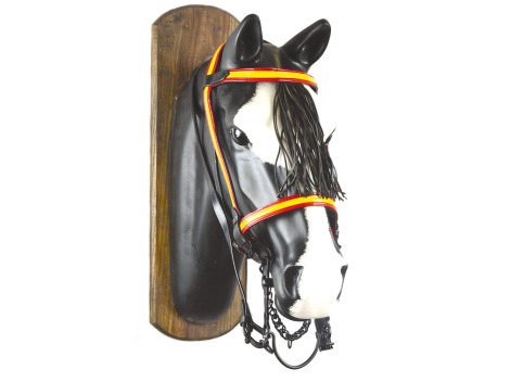 Spanish vaquera flag bridle in leather