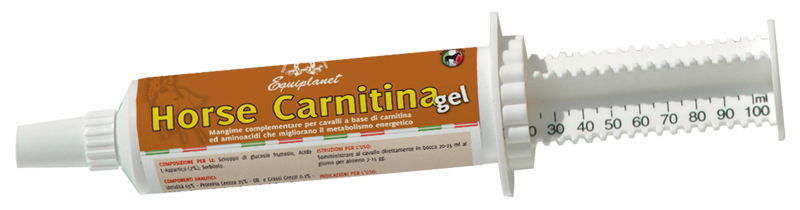 Carnitina Gel - booster με βάση την καρνιτίνη και τα αμινοξέα