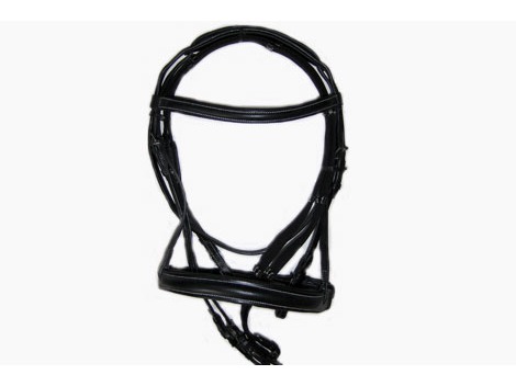 English leather bridle with padding