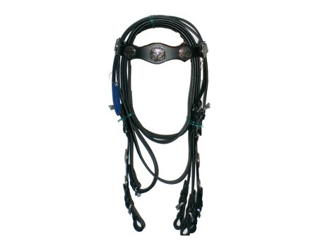 Western leather bridle with silver studs