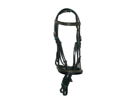 English leather bridle with padding