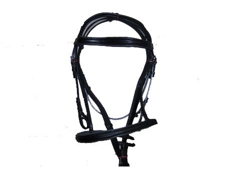 English leather bridle with padding