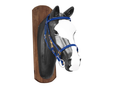 DSK endurance bridle - genuine biothane