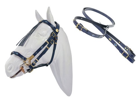 Pioneer spanish leather bridle - halter with reins