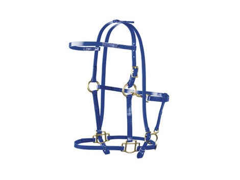 Podium Endurance Bridle