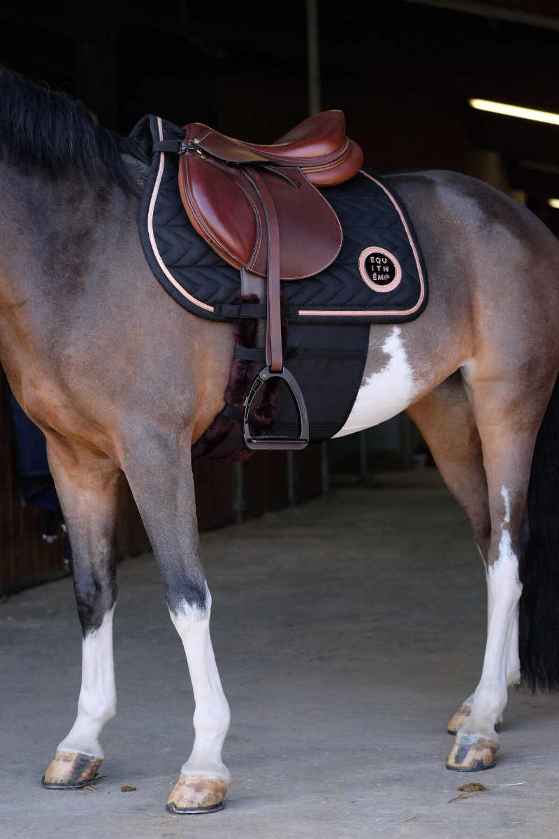 ΖΩΝΗ ΠΡΟΣΤΑΣΙΑΣ ΣΠΥΡΟΥΝΙΩΝ ʼNORTONˮ