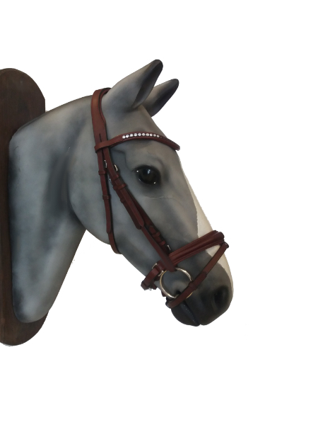 DSK leather english bridle