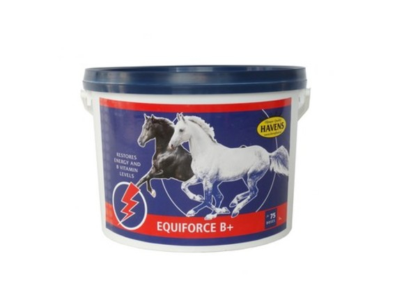 Το EquiForce B+