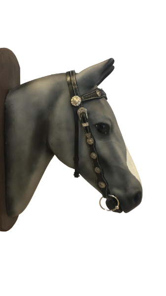 Western leather bridle