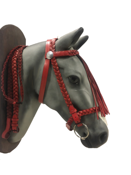 Spanish leather bridle