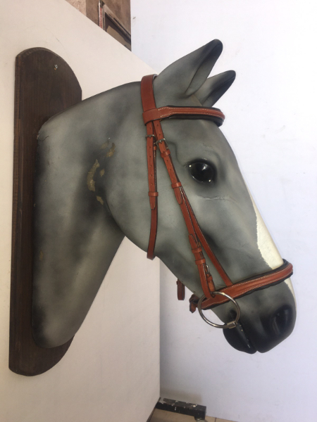 English padded leather bridle