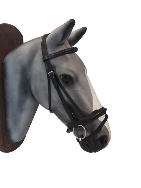 English leather bridle